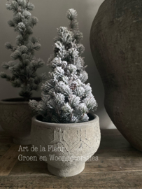 Pine kerstboom kunst 23 x 46 Sneeuw
