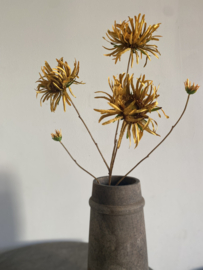 Mum spray brown | Cognac Spin Chrysant 91 cm