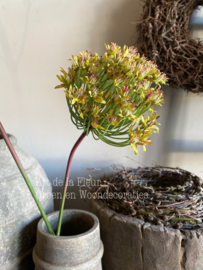 Allium groen | geel  86 cm