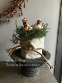 Taartje | Met bakkersdoek en 3 Amaryllis bollen 15 cm doorsnede en extra hoog