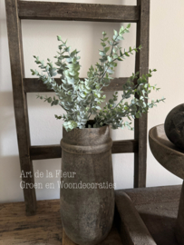 Steker | Eucalyptus grijs / groen 45 cm