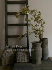 Groene Bloesem 112 cm