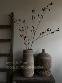 Rozenbottel tak 120 cm Burgundy