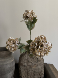 Sneeuwbal met drie bloemen 80 cm licht gedroogde uitstraling