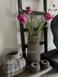 Samengesteld , XL Tulpen , Pimpernel en Gagel Fuchsia