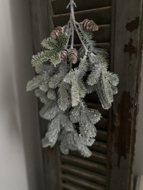 Kunst tak nobilis snow