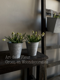 Nieuw ! Zinken potje 12 x 12