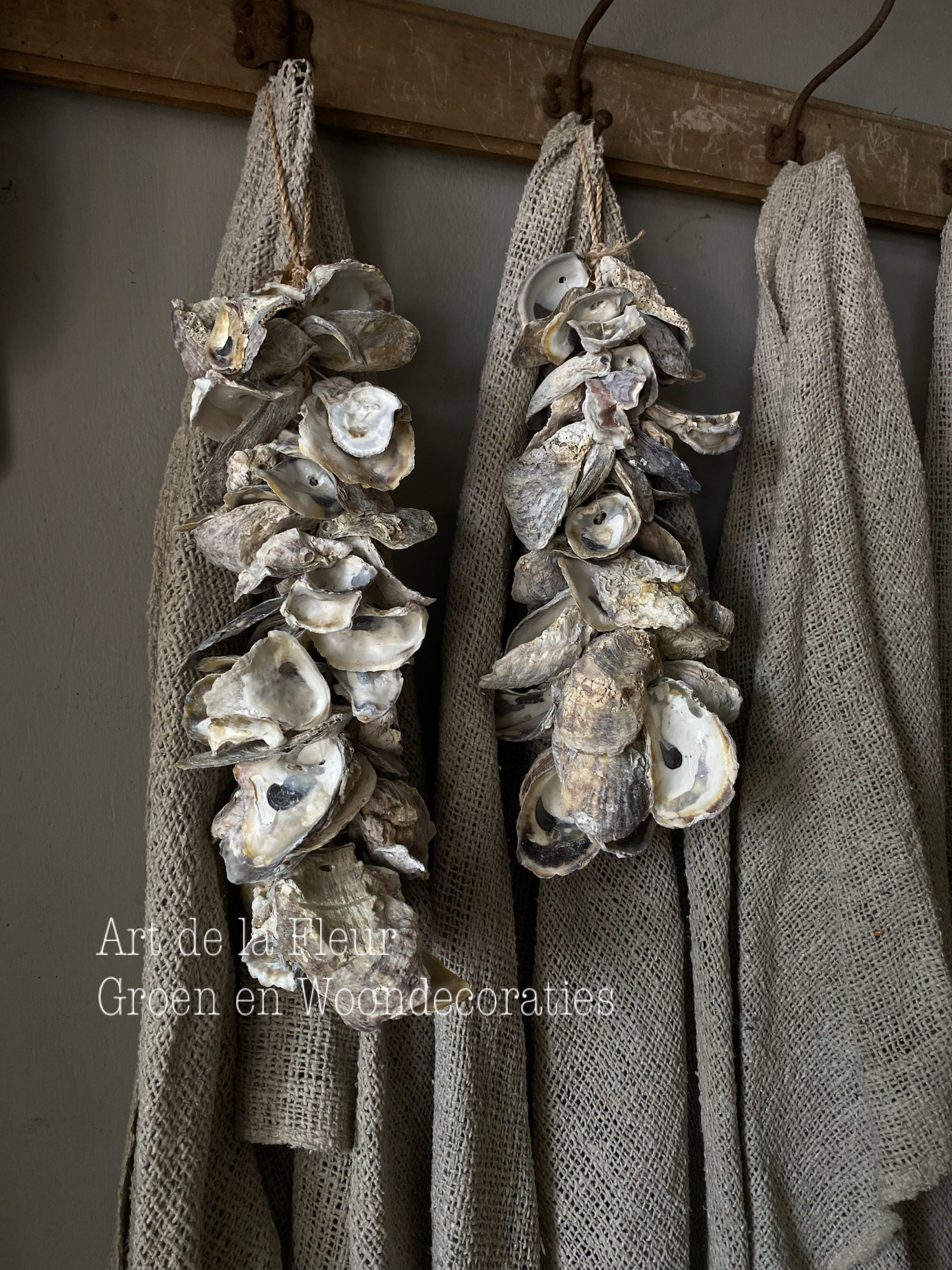 Oester schelpenhanger 30 a 40 cm