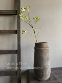 Kangoeroe pootje steel Groen 71 cm