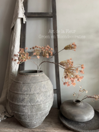 Queen Ann’s Lace | Perzik Oranje 6-vertakkingen 115 cm
