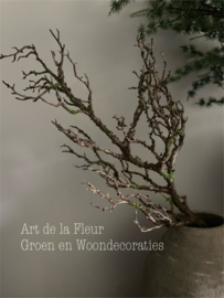 Kunst tak Twig spray xl 75 cm