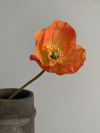 Klaproos Oranje 69 cm