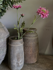 Scabiosa  66 cm