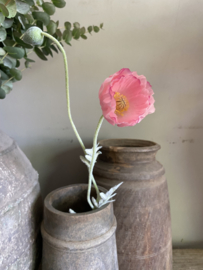 Klaproosje | papaver 61 cm