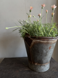 Oud uitziende emmer  R 24 x 25