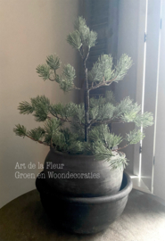 Pinus boom in jute zak groen | grijs iced 72 cm