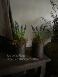Metalen potje met 5 kunstdruifjes met Mos en Salim