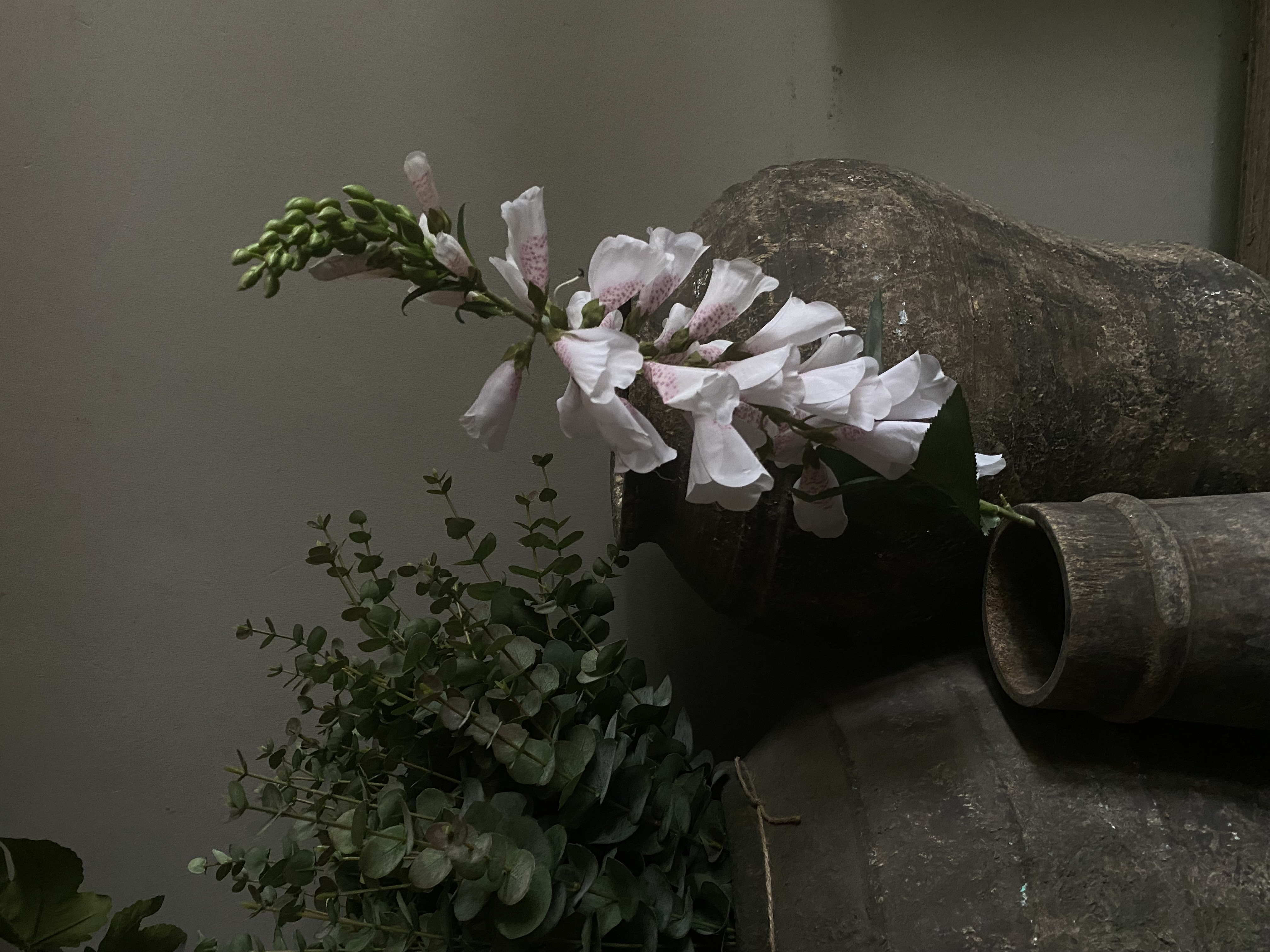 Foxglove 89 cm