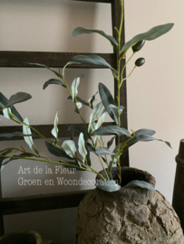 Olijf Grey 105 cm