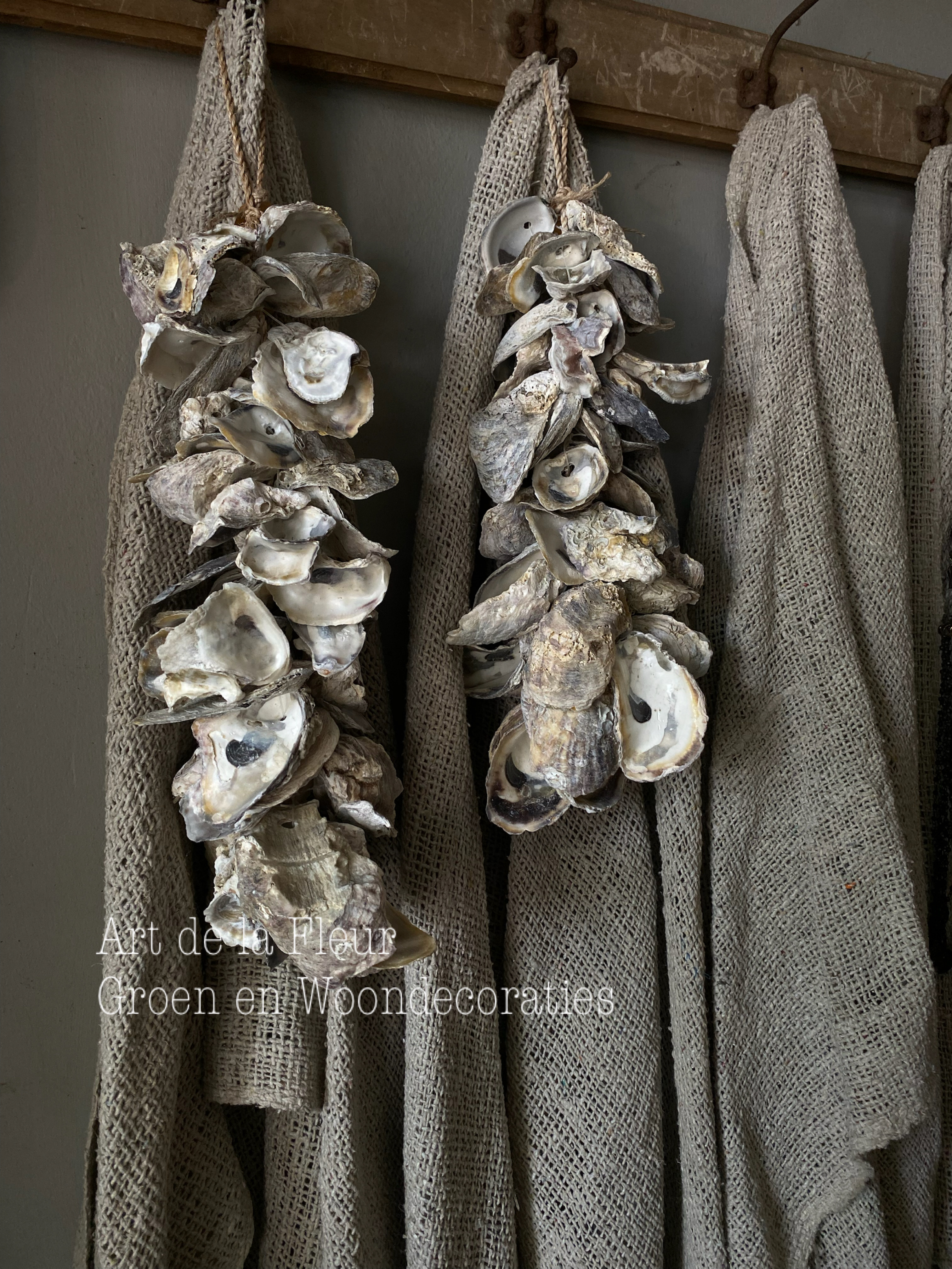 Oester schelpenhanger 30 a 40 cm