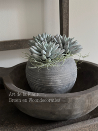 Steker | Succulent 18 x 11 cm per stuk