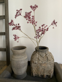 Fluitenkruid 13 bloemen  fuchsia 90 cm