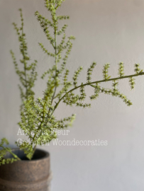 Wilde Asparagus 100 cm Kunst 5 vertakkingen groen