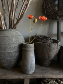 Klaproos donker oranje met knop