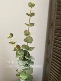 Eucalyptus Green 81 cm