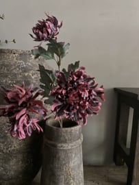 Chrysant drie bloemen per steel
