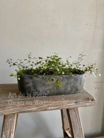 Beton pot cakevorm S 28 x 10 x 9