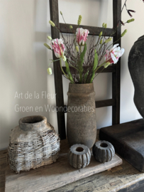 Samengesteld , XL Tulpen , Pimpernel en Gagel gemêleerd