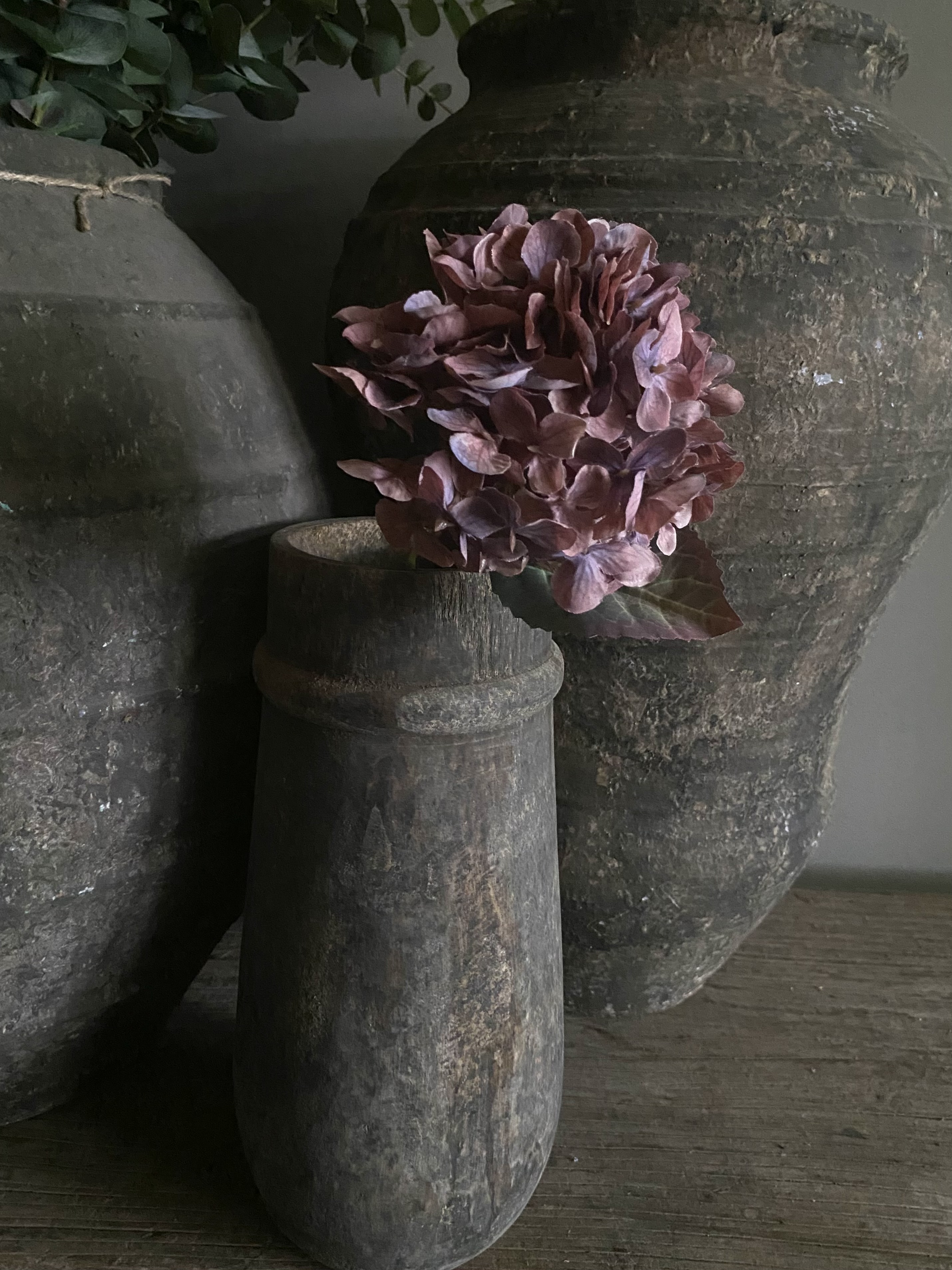 Hortensia 40 cm purper