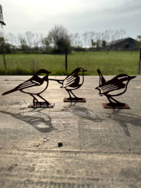 Roestig vogeltje staand Winterkoninkje