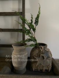 Cypresse tak groen 80 cm