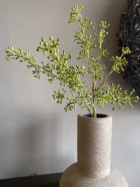 Groen boeket Eucalyptus besjes 56 cm