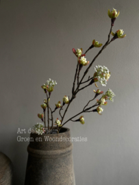Esdoorn fruittak M wit 55 cm