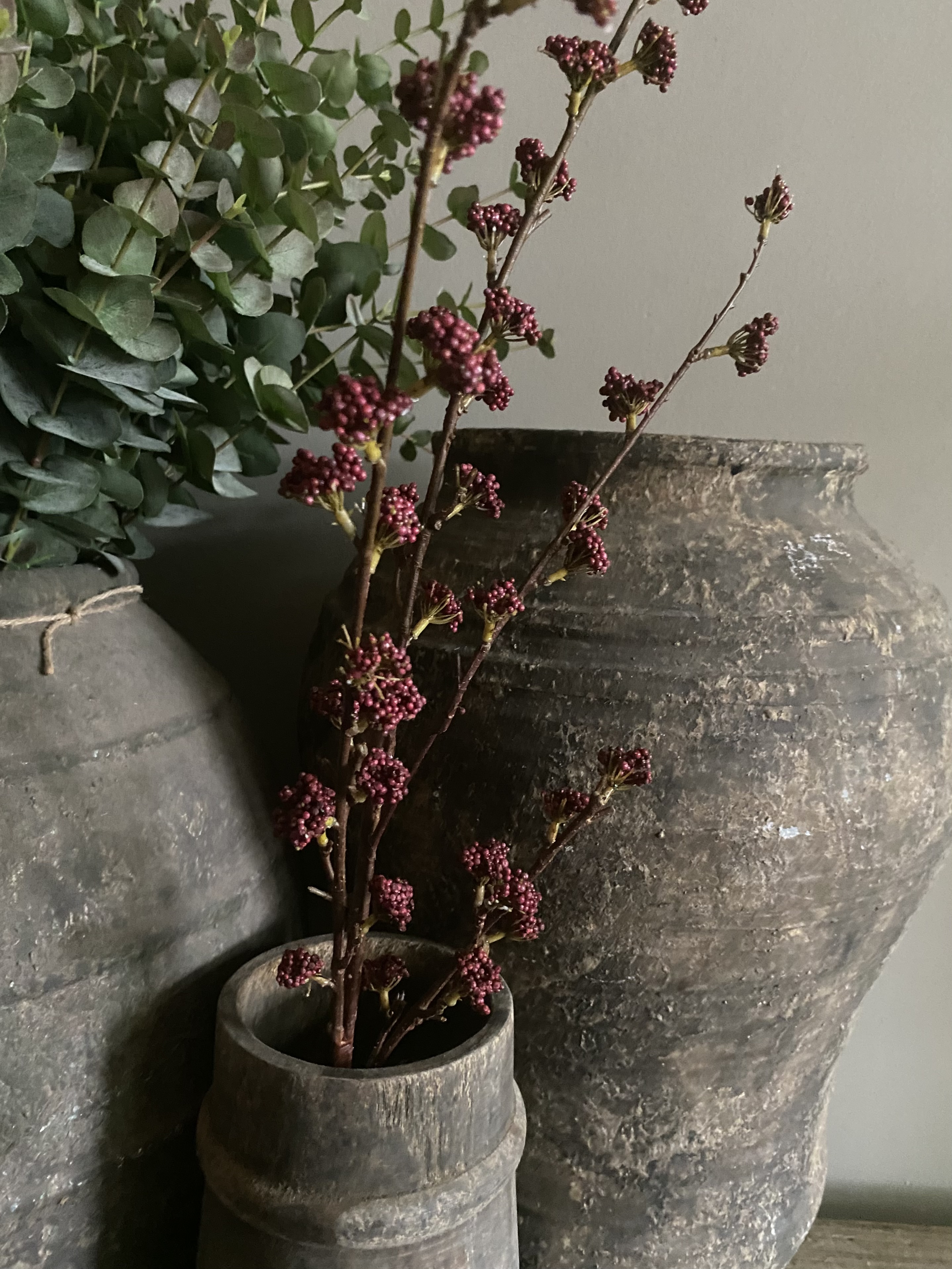Callicarpa Bordeaux / Fuchsia 105 cm