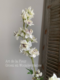 White / Purper Delphinium Wild 77 cm