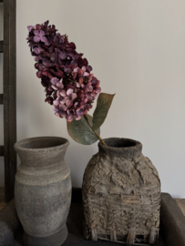 Hortensia Paniculata 82 cm licht gedroogde uitstraling