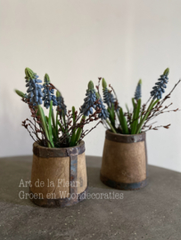 Houten mini potje met kunst druifjes en Gagel