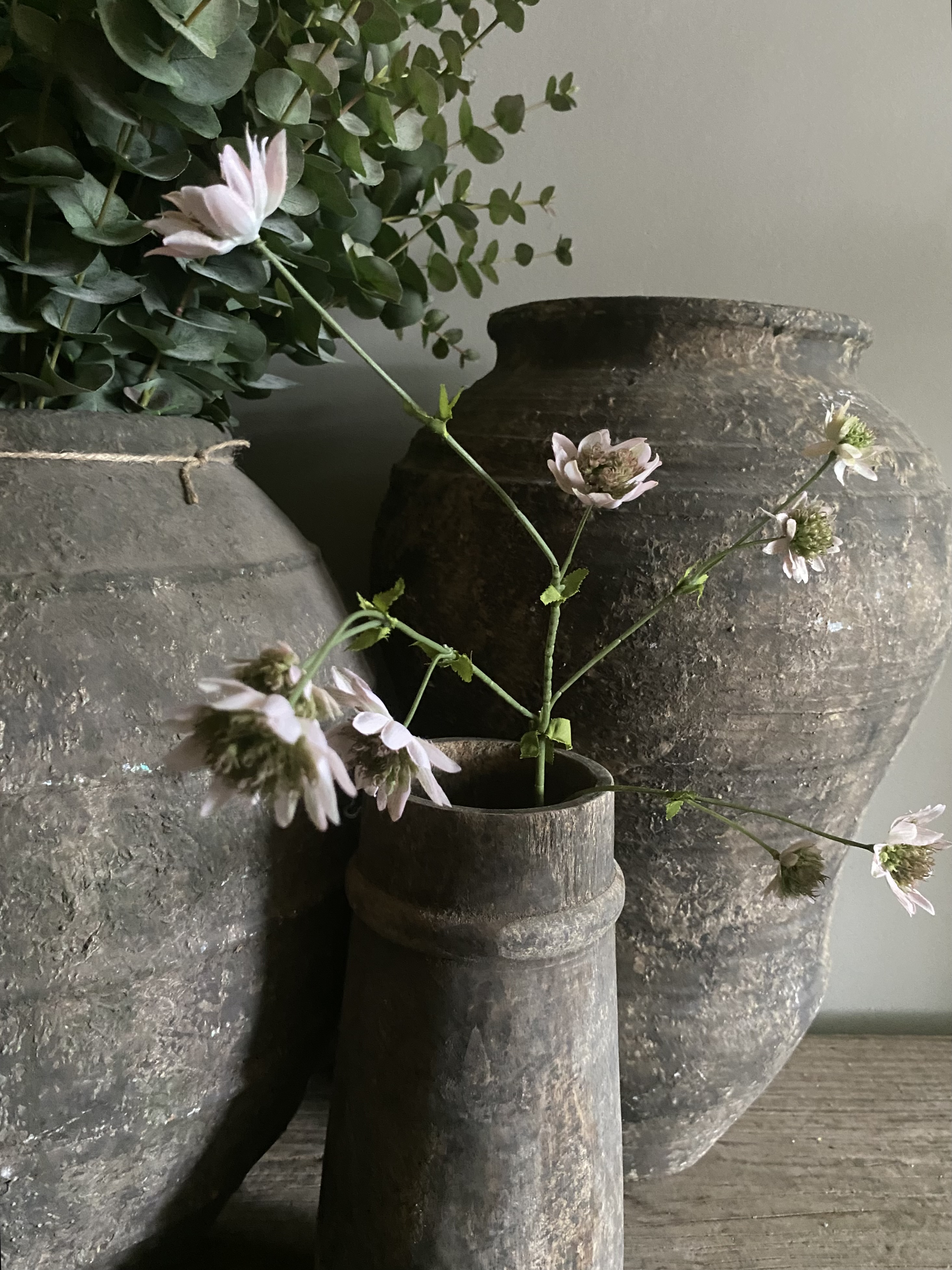Astrantia licht roze 73 cm