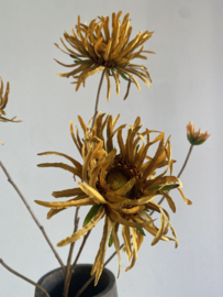 Mum spray brown | Cognac Spin Chrysant 91 cm