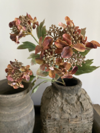 Hortensia met drie bloemen 82 cm bruin licht gedroogde uitstraling