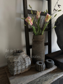 Samengesteld , XL Tulpen , Pimpernel en Gagel Pastel