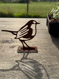 Roestig vogeltje staand roodborstje