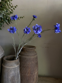 Korenbloem blauw 89 cm