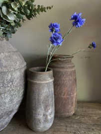 Korenbloem blauw 61 cm