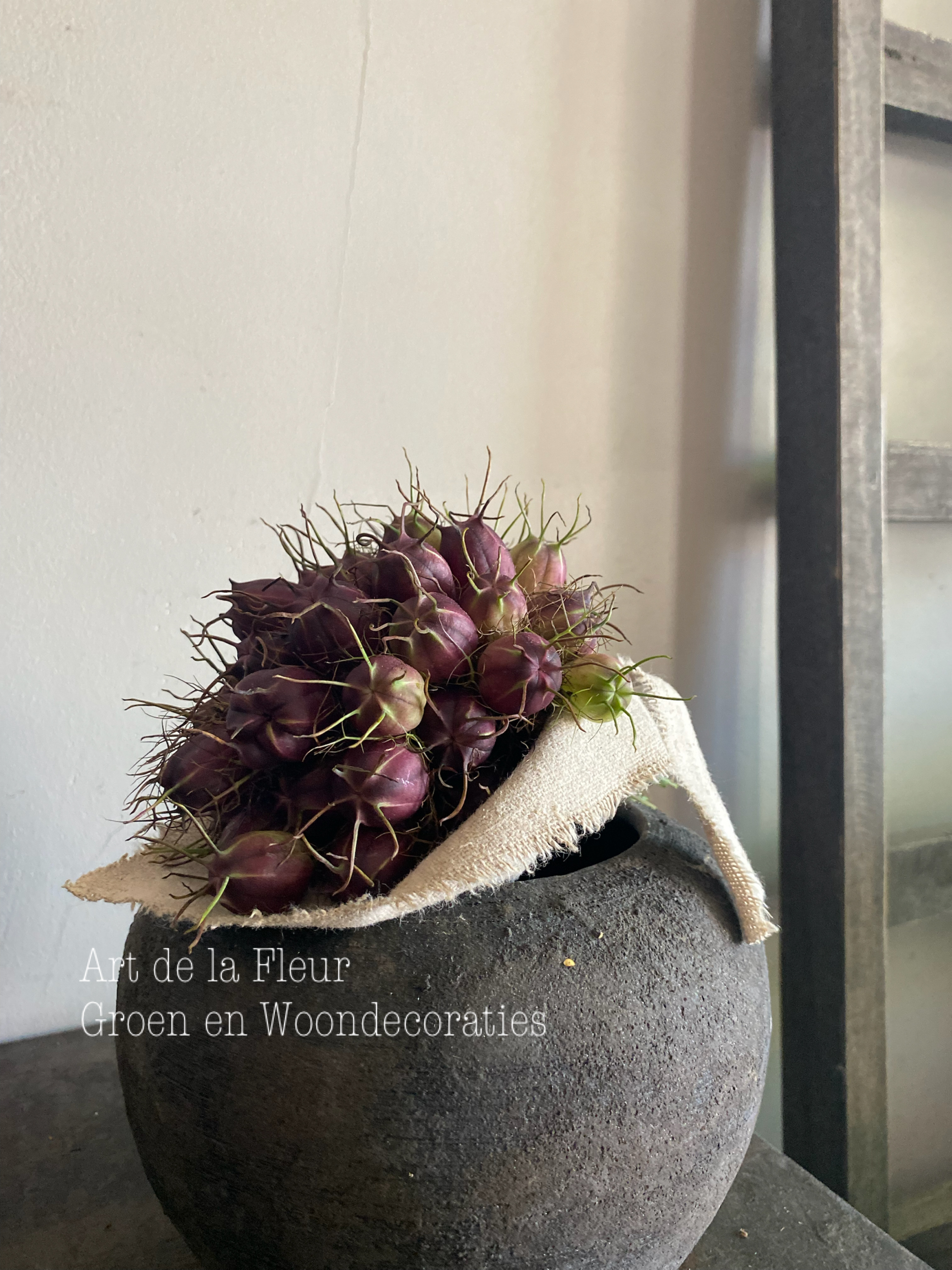 Mini toefje donkere Nigella droogt mooi in