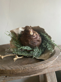 Amaryllis Bol wit M met Cypresse en doek